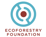 FAIRTRANS partner logotyp Ecoforestry Foundation